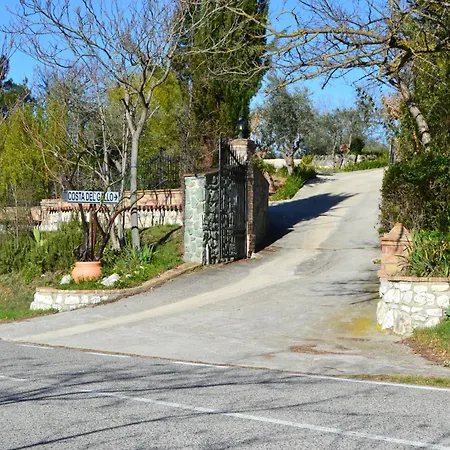 Alojamento de Acomodação e Pequeno-almoço Costa Del Gallo